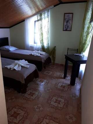 Отель Пані Анна Каменец-Подольский Двухместный номер с 2 отдельными кроватями-2