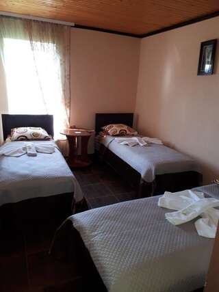 Отель Пані Анна Каменец-Подольский Трехместный номер-2